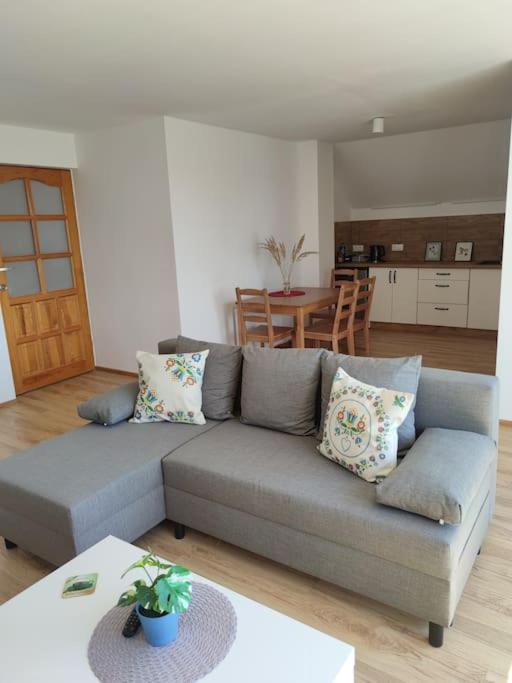 Apartment Za Lasem Kaliska Koscierskie